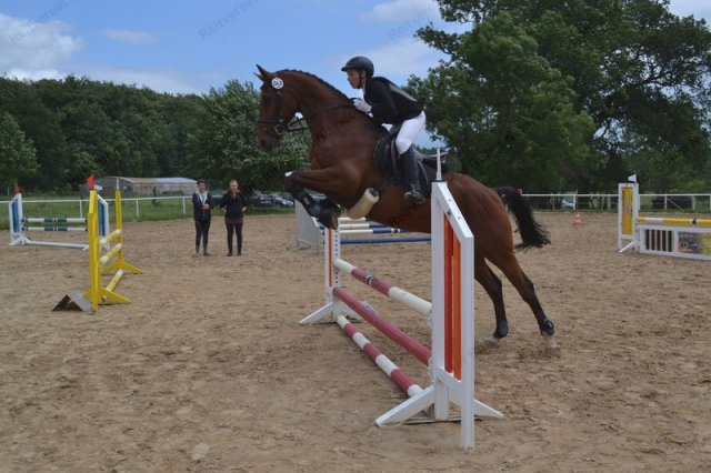 reitertag 2013 50
